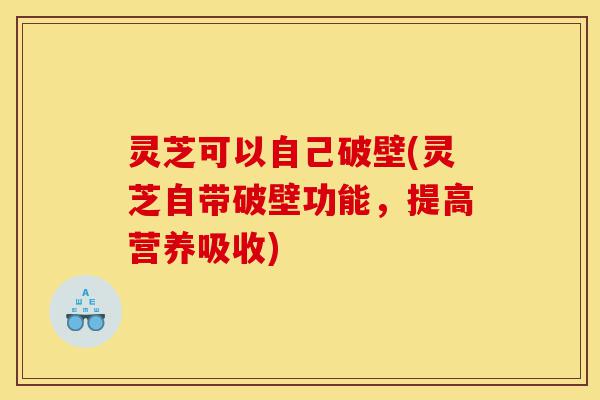 灵芝可以自己破壁(灵芝自带破壁功能，提高营养吸收)-第1张图片-灵芝之家