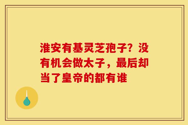 淮安有基灵芝孢子?没有机会做太子,最后却当了皇帝的都有谁-第1张图片-灵芝之家 淮安有基灵芝孢子?没有机会做太子,最后却当了皇帝的都有谁-第1张图片-灵芝之家