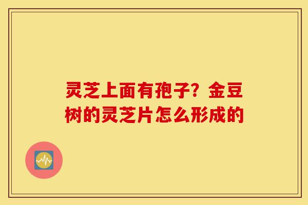 灵芝上面有孢子?金豆树的灵芝片怎么形成的-第1张图片-灵芝之家 灵芝上面有孢子?金豆树的灵芝片怎么形成的-第1张图片-灵芝之家