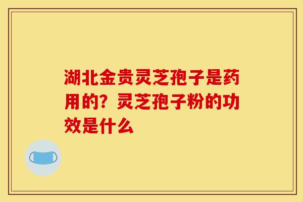 湖北金贵灵芝孢子是药用的？灵芝孢子粉的功效是什么-第1张图片-灵芝之家