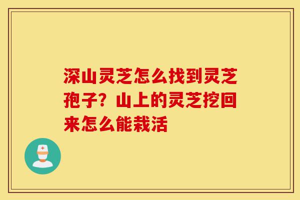 深山灵芝怎么找到灵芝孢子?山上的灵芝挖回来怎么能栽活-第1张图片-灵芝之家 深山灵芝怎么找到灵芝孢子?山上的灵芝挖回来怎么能栽活-第1张图片-灵芝之家