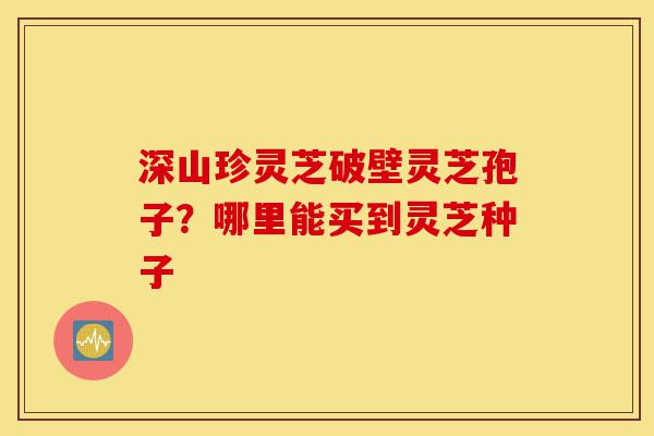 深山珍灵芝破壁灵芝孢子?哪里能买到灵芝种子-第1张图片-灵芝之家 深山珍灵芝破壁灵芝孢子?哪里能买到灵芝种子-第1张图片-灵芝之家