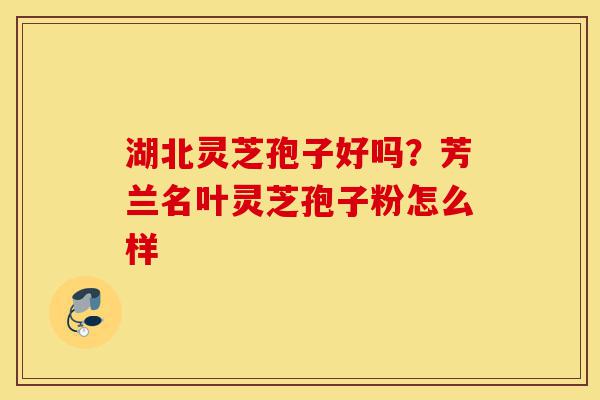 湖北灵芝孢子好吗?芳兰名叶灵芝孢子粉怎么样-第1张图片-灵芝之家 湖北灵芝孢子好吗?芳兰名叶灵芝孢子粉怎么样-第1张图片-灵芝之家