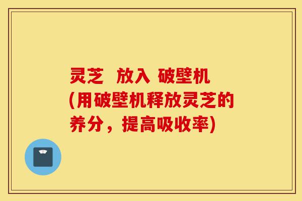 灵芝 放入 破壁机(用破壁机释放灵芝的养分,提高吸收率)-第1张图片-灵芝之家 灵芝 放入 破壁机(用破壁机释放灵芝的养分,提高吸收率)-第1张图片-灵芝之家