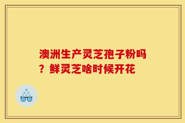 澳洲生产灵芝孢子粉吗?鲜灵芝啥时候开花-第1张图片-灵芝之家 澳洲生产灵芝孢子粉吗?鲜灵芝啥时候开花-第1张图片-灵芝之家