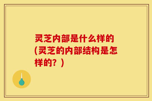 灵芝内部是什么样的 (灵芝的内部结构是怎样的?)-第1张图片-灵芝之家 灵芝内部是什么样的 (灵芝的内部结构是怎样的?)-第1张图片-灵芝之家