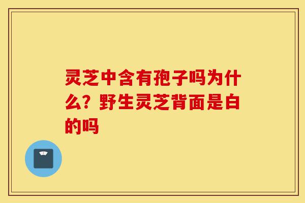 灵芝中含有孢子吗为什么?野生灵芝背面是白的吗-第1张图片-灵芝之家 灵芝中含有孢子吗为什么?野生灵芝背面是白的吗-第1张图片-灵芝之家