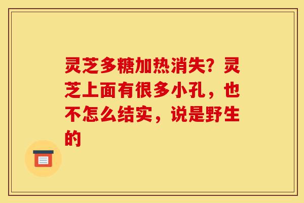 灵芝多糖加热消失？灵芝上面有很多小孔，也不怎么结实，说是野生的-第1张图片-灵芝之家