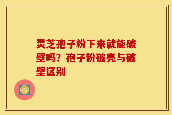 灵芝孢子粉下来就能破壁吗？孢子粉破壳与破壁区别-第1张图片-灵芝之家