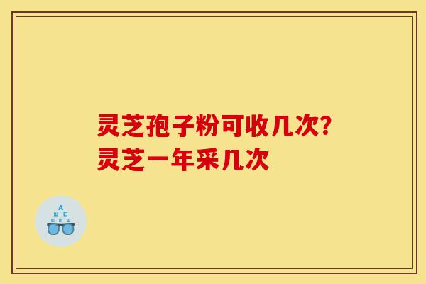 灵芝孢子粉可收几次?灵芝一年采几次-第1张图片-灵芝之家 灵芝孢子粉可收几次?灵芝一年采几次-第1张图片-灵芝之家