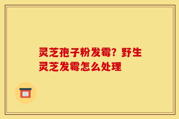灵芝孢子粉发霉?野生灵芝发霉怎么处理-第1张图片-灵芝之家 灵芝孢子粉发霉?野生灵芝发霉怎么处理-第1张图片-灵芝之家