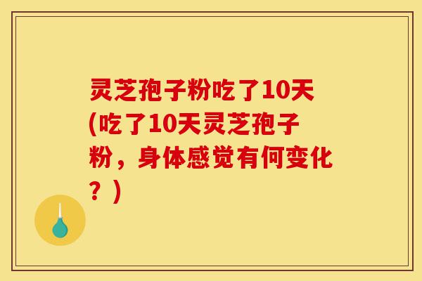 灵芝孢子粉吃了10天(吃了10天灵芝孢子粉，身体感觉有何变化？)-第1张图片-灵芝之家