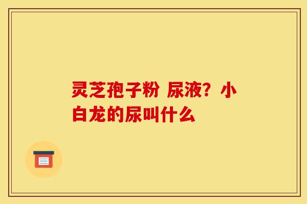 灵芝孢子粉 尿液?小白龙的尿叫什么-第1张图片-灵芝之家 灵芝孢子粉 尿液?小白龙的尿叫什么-第1张图片-灵芝之家
