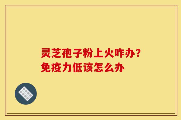 灵芝孢子粉上火咋办?免疫力低该怎么办-第1张图片-灵芝之家 灵芝孢子粉上火咋办?免疫力低该怎么办-第1张图片-灵芝之家