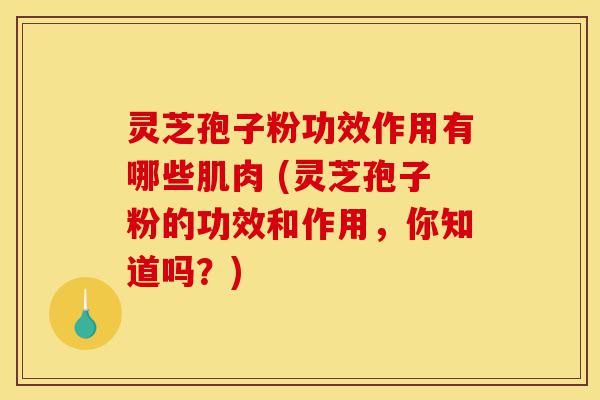 灵芝孢子粉功效作用有哪些肌肉 (灵芝孢子粉的功效和作用,你知道吗?)-第1张图片-灵芝之家 灵芝孢子粉功效作用有哪些肌肉 (灵芝孢子粉的功效和作用,你知道吗?)-第1张图片-灵芝之家
