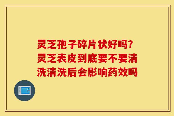 灵芝孢子碎片状好吗？灵芝表皮到底要不要清洗清洗后会影响药效吗-第1张图片-灵芝之家
