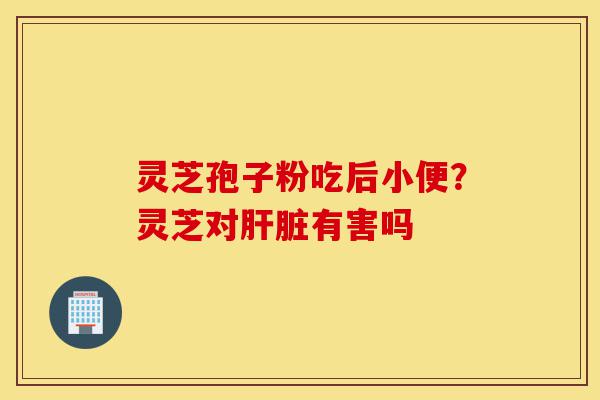 灵芝孢子粉吃后小便?灵芝对肝脏有害吗-第1张图片-灵芝之家 灵芝孢子粉吃后小便?灵芝对肝脏有害吗-第1张图片-灵芝之家