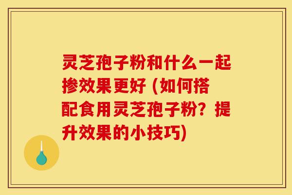 灵芝孢子粉和什么一起掺效果更好 (如何搭配食用灵芝孢子粉?提升效果的小技巧)-第1张图片-灵芝之家 灵芝孢子粉和什么一起掺效果更好 (如何搭配食用灵芝孢子粉?提升效果的小技巧)-第1张图片-灵芝之家