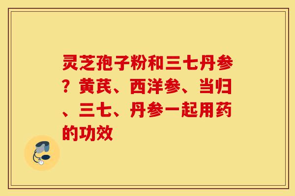 灵芝孢子粉和三七丹参？黄芪、西洋参、当归、三七、丹参一起用药的功效-第1张图片-灵芝之家