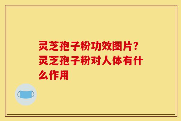灵芝孢子粉功效图片?灵芝孢子粉对人体有什么作用-第1张图片-灵芝之家 灵芝孢子粉功效图片?灵芝孢子粉对人体有什么作用-第1张图片-灵芝之家