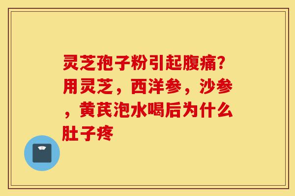 灵芝孢子粉引起腹痛?用灵芝,西洋参,沙参,黄芪泡水喝后为什么肚子疼-第1张图片-灵芝之家 灵芝孢子粉引起腹痛?用灵芝,西洋参,沙参,黄芪泡水喝后为什么肚子疼-第1张图片-灵芝之家