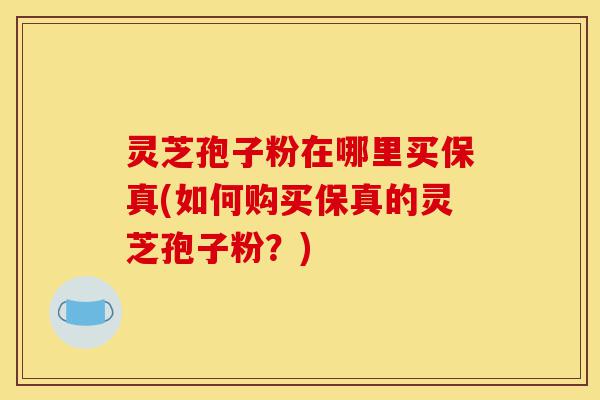 灵芝孢子粉在哪里买保真(如何购买保真的灵芝孢子粉？)-第1张图片-灵芝之家