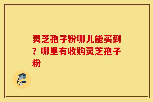 灵芝孢子粉哪儿能买到？哪里有收购灵芝孢子粉-第1张图片-灵芝之家