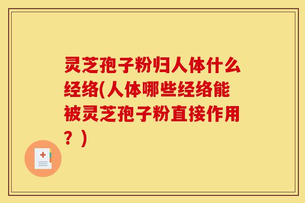 灵芝孢子粉归人体什么经络(人体哪些经络能被灵芝孢子粉直接作用?)-第1张图片-灵芝之家 灵芝孢子粉归人体什么经络(人体哪些经络能被灵芝孢子粉直接作用?)-第1张图片-灵芝之家