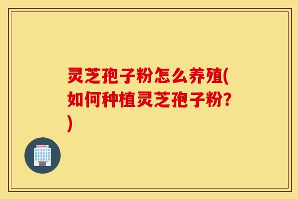 灵芝孢子粉怎么养殖(如何种植灵芝孢子粉?)-第1张图片-灵芝之家 灵芝孢子粉怎么养殖(如何种植灵芝孢子粉?)-第1张图片-灵芝之家