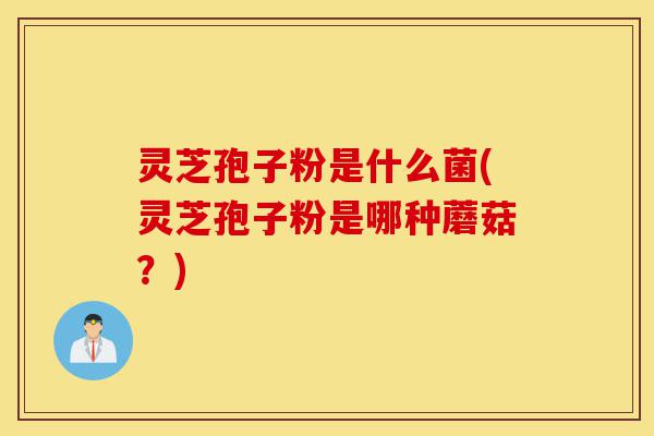 灵芝孢子粉是什么菌(灵芝孢子粉是哪种蘑菇?)-第1张图片-灵芝之家 灵芝孢子粉是什么菌(灵芝孢子粉是哪种蘑菇?)-第1张图片-灵芝之家