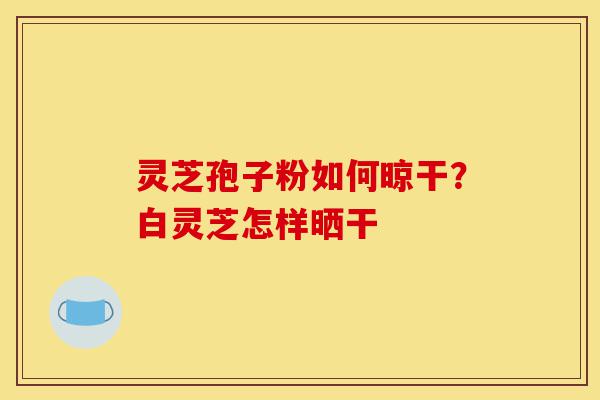 灵芝孢子粉如何晾干？白灵芝怎样晒干-第1张图片-灵芝之家