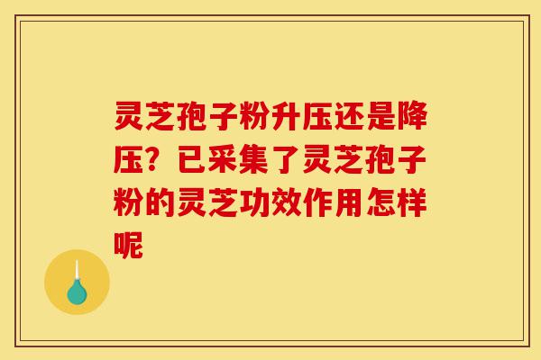灵芝孢子粉升压还是降压?已采集了灵芝孢子粉的灵芝功效作用怎样呢-第1张图片-灵芝之家 灵芝孢子粉升压还是降压?已采集了灵芝孢子粉的灵芝功效作用怎样呢-第1张图片-灵芝之家