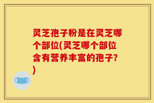 灵芝孢子粉是在灵芝哪个部位(灵芝哪个部位含有营养丰富的孢子?)-第1张图片-灵芝之家 灵芝孢子粉是在灵芝哪个部位(灵芝哪个部位含有营养丰富的孢子?)-第1张图片-灵芝之家
