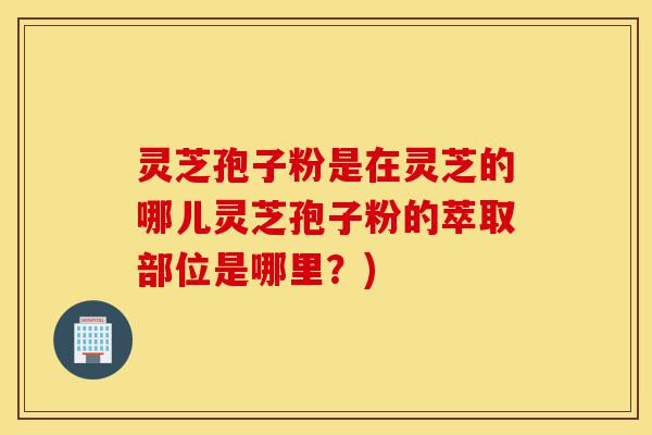 灵芝孢子粉是在灵芝的哪儿灵芝孢子粉的萃取部位是哪里?)-第1张图片-灵芝之家 灵芝孢子粉是在灵芝的哪儿灵芝孢子粉的萃取部位是哪里?)-第1张图片-灵芝之家