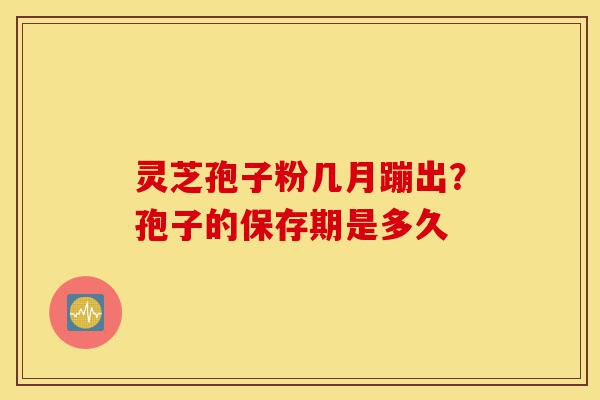 灵芝孢子粉几月蹦出?孢子的保存期是多久-第1张图片-灵芝之家 灵芝孢子粉几月蹦出?孢子的保存期是多久-第1张图片-灵芝之家