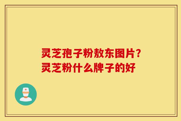 灵芝孢子粉敖东图片?灵芝粉什么牌子的好-第1张图片-灵芝之家 灵芝孢子粉敖东图片?灵芝粉什么牌子的好-第1张图片-灵芝之家