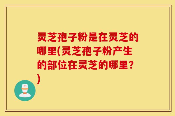 灵芝孢子粉是在灵芝的哪里(灵芝孢子粉产生的部位在灵芝的哪里？)-第1张图片-灵芝之家