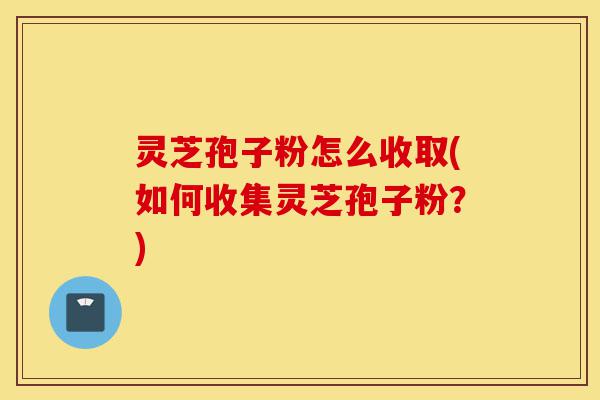 灵芝孢子粉怎么收取(如何收集灵芝孢子粉?)-第1张图片-灵芝之家 灵芝孢子粉怎么收取(如何收集灵芝孢子粉?)-第1张图片-灵芝之家