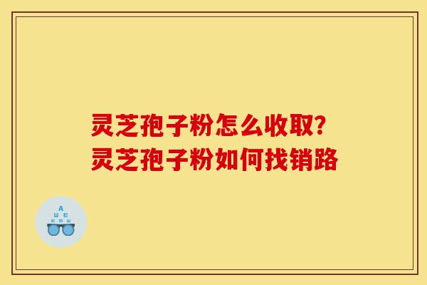 灵芝孢子粉怎么收取?灵芝孢子粉如何找销路-第1张图片-灵芝之家 灵芝孢子粉怎么收取?灵芝孢子粉如何找销路-第1张图片-灵芝之家