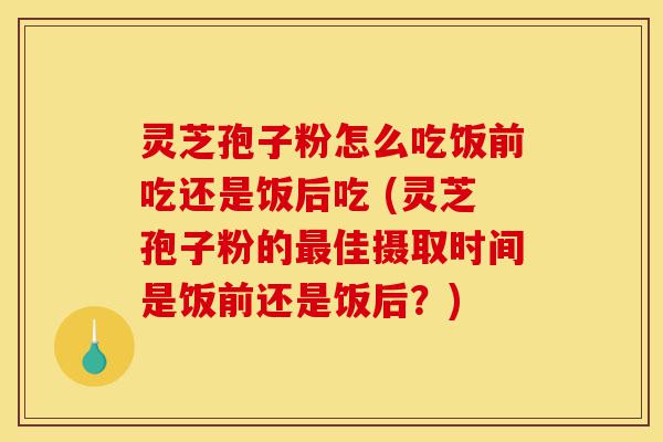 灵芝孢子粉怎么吃饭前吃还是饭后吃 (灵芝孢子粉的最佳摄取时间是饭前还是饭后?)-第1张图片-灵芝之家 灵芝孢子粉怎么吃饭前吃还是饭后吃 (灵芝孢子粉的最佳摄取时间是饭前还是饭后?)-第1张图片-灵芝之家