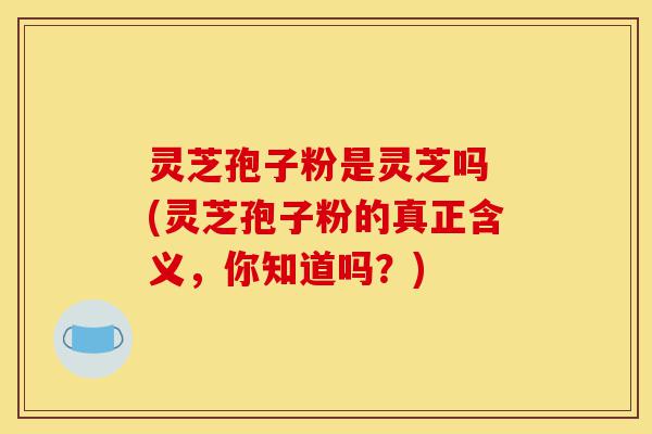 灵芝孢子粉是灵芝吗 (灵芝孢子粉的真正含义,你知道吗?)-第1张图片-灵芝之家 灵芝孢子粉是灵芝吗 (灵芝孢子粉的真正含义,你知道吗?)-第1张图片-灵芝之家
