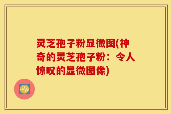 灵芝孢子粉显微图(神奇的灵芝孢子粉:令人惊叹的显微图像)-第1张图片-灵芝之家 灵芝孢子粉显微图(神奇的灵芝孢子粉:令人惊叹的显微图像)-第1张图片-灵芝之家