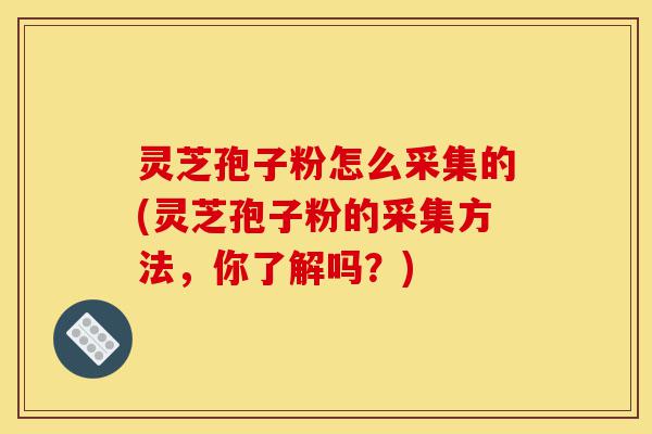 灵芝孢子粉怎么采集的(灵芝孢子粉的采集方法，你了解吗？)-第1张图片-灵芝之家