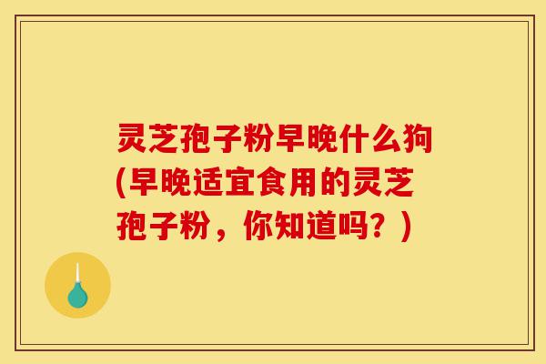 灵芝孢子粉早晚什么狗(早晚适宜食用的灵芝孢子粉,你知道吗?)-第1张图片-灵芝之家 灵芝孢子粉早晚什么狗(早晚适宜食用的灵芝孢子粉,你知道吗?)-第1张图片-灵芝之家