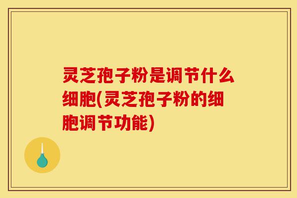 灵芝孢子粉是调节什么细胞(灵芝孢子粉的细胞调节功能)-第1张图片-灵芝之家 灵芝孢子粉是调节什么细胞(灵芝孢子粉的细胞调节功能)-第1张图片-灵芝之家