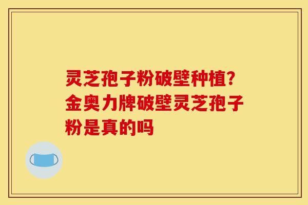 灵芝孢子粉破壁种植？金奥力牌破壁灵芝孢子粉是真的吗-第1张图片-灵芝之家
