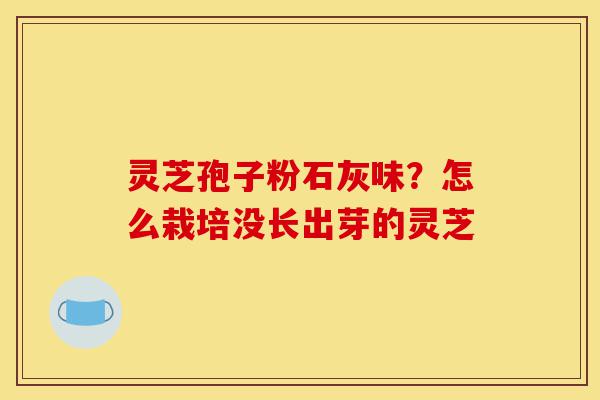 灵芝孢子粉石灰味？怎么栽培没长出芽的灵芝-第1张图片-灵芝之家