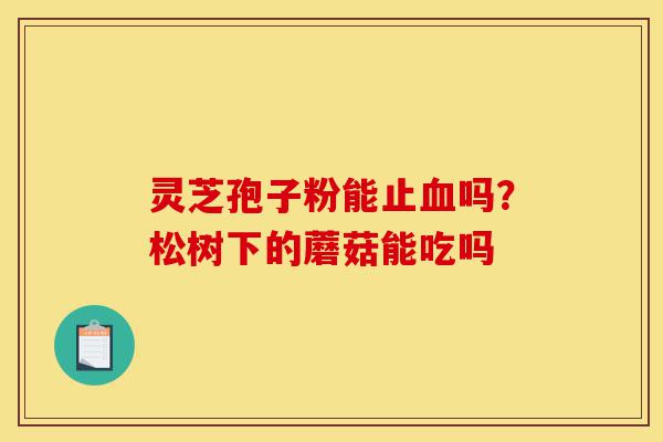 灵芝孢子粉能止血吗?松树下的蘑菇能吃吗-第1张图片-灵芝之家 灵芝孢子粉能止血吗?松树下的蘑菇能吃吗-第1张图片-灵芝之家