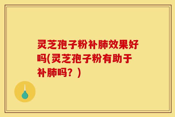 灵芝孢子粉补肺效果好吗(灵芝孢子粉有助于补肺吗?)-第1张图片-灵芝之家 灵芝孢子粉补肺效果好吗(灵芝孢子粉有助于补肺吗?)-第1张图片-灵芝之家