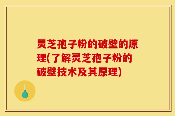 灵芝孢子粉的破壁的原理(了解灵芝孢子粉的破壁技术及其原理)-第1张图片-灵芝之家 灵芝孢子粉的破壁的原理(了解灵芝孢子粉的破壁技术及其原理)-第1张图片-灵芝之家